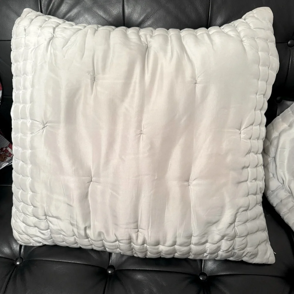 Pottery Barn | 100% Silk | Euro Size | 2/ Pillow Covers